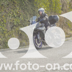 thumb_FF104219