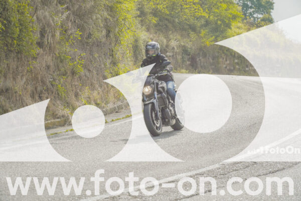 <h1 class="product-title">thumb_FF104222</h1>