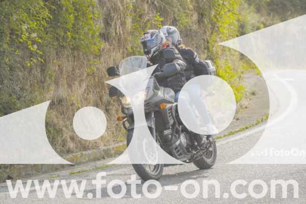 <h1 class="product-title">thumb_FF104224</h1>