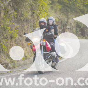 thumb_FF104254