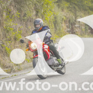 thumb_FF104260