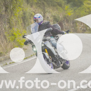 thumb_FF104268
