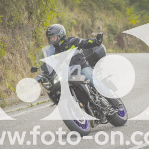 thumb_FF104269