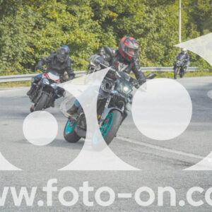 thumb_FF104274