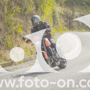thumb_FF104279