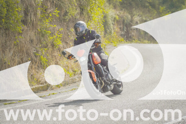 <h1 class="product-title">thumb_FF104279</h1>