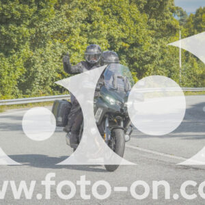 thumb_FF104284
