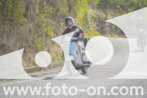 <h1 class="product-title">thumb_FF104285</h1>