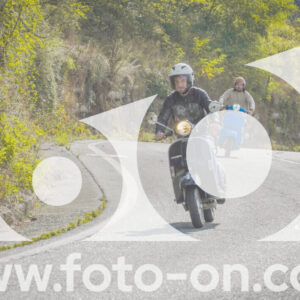 thumb_FF104286