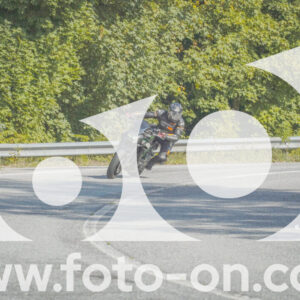 thumb_FF104294