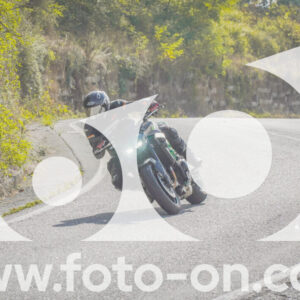 thumb_FF104317