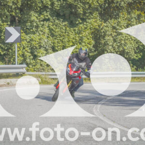 thumb_FF104368
