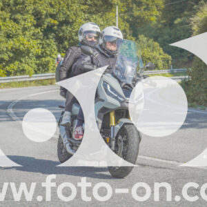 thumb_FF104371