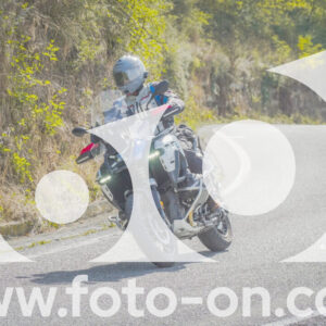 thumb_FF104372