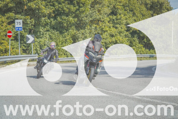 <h1 class="product-title">thumb_FF104419</h1>