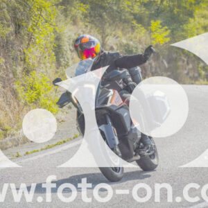 thumb_FF104438