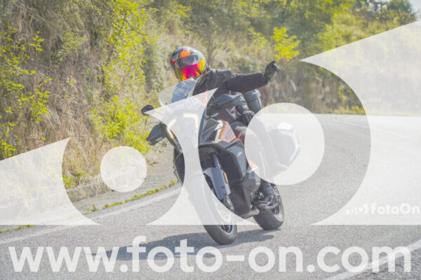 <h1 class="product-title">thumb_FF104438</h1>