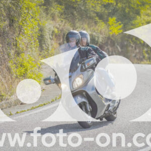thumb_FF104446