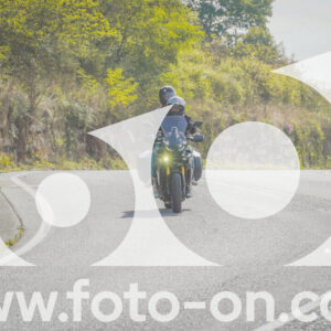 thumb_FF104448