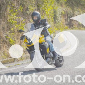 thumb_FF104463