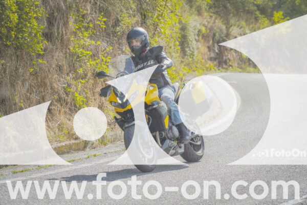 <h1 class="product-title">thumb_FF104463</h1>