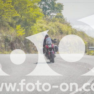 thumb_FF104474