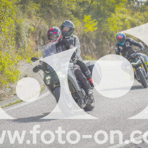 thumb_FF104477