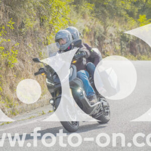 thumb_FF104480