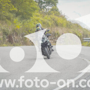 thumb_FF104562