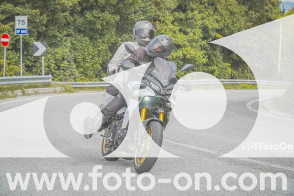 <h1 class="product-title">thumb_FF104568</h1>