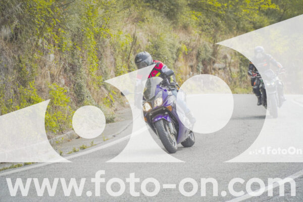 <h1 class="product-title">thumb_FF104571</h1>
