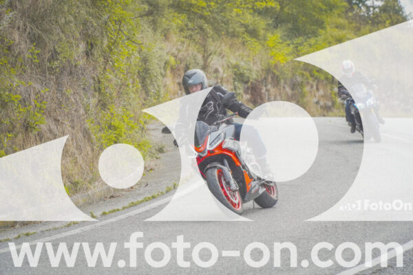 <h1 class="product-title">thumb_FF104582</h1>