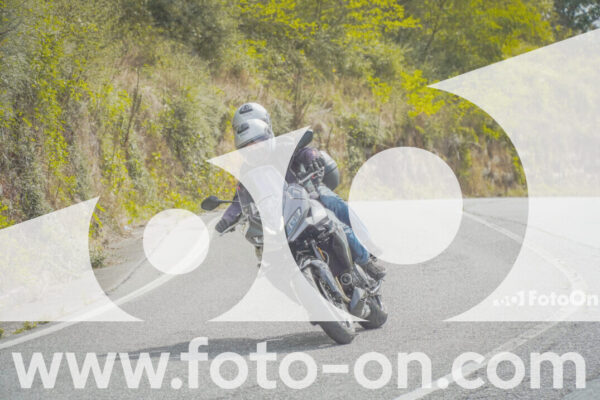 <h1 class="product-title">thumb_FF104692</h1>