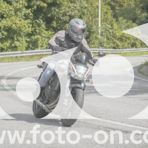 thumb_FF108854