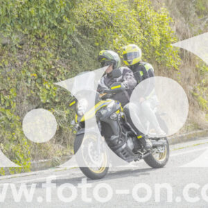 thumb_FF108863