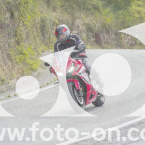 thumb_FF108866