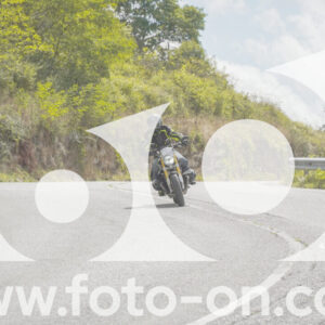 thumb_FF108939