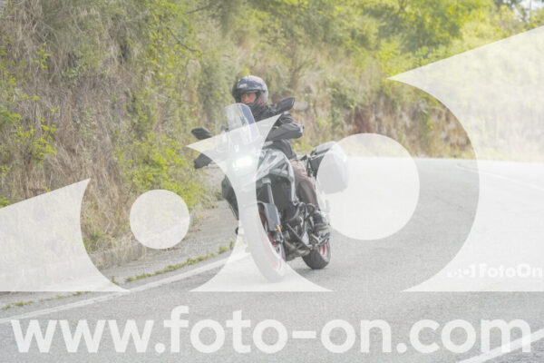 <h1 class="product-title">thumb_FF108948</h1>