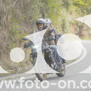 thumb_FF108949