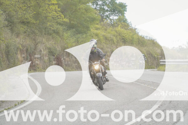 <h1 class="product-title">thumb_FF108954</h1>