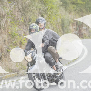 thumb_FF108955