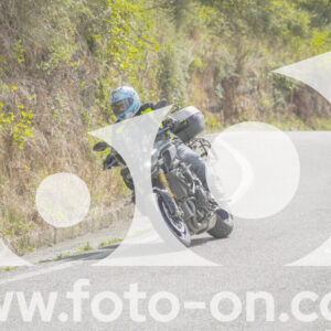 thumb_FF108966