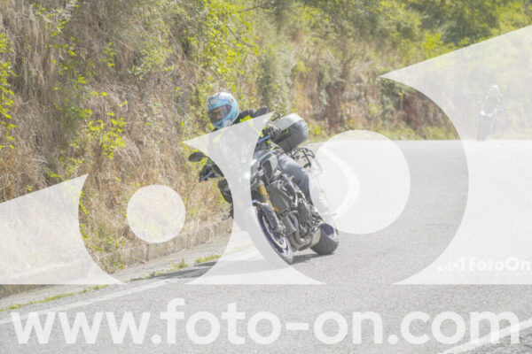 <h1 class="product-title">thumb_FF108966</h1>