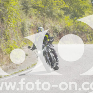 thumb_FF108967