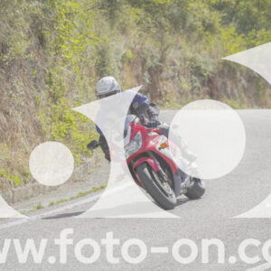 thumb_FF108974