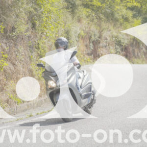 thumb_FF108975