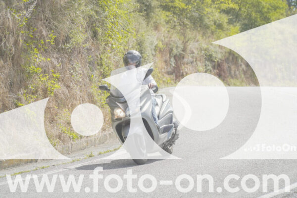 <h1 class="product-title">thumb_FF108975</h1>