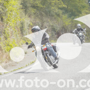 thumb_FF108985