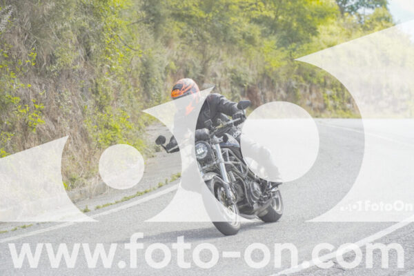 <h1 class="product-title">thumb_FF109000</h1>