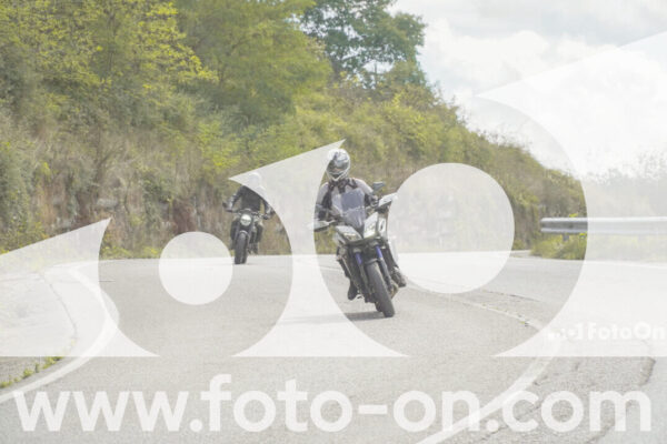 <h1 class="product-title">thumb_FF109001</h1>
